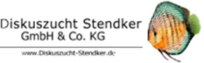 Stendker