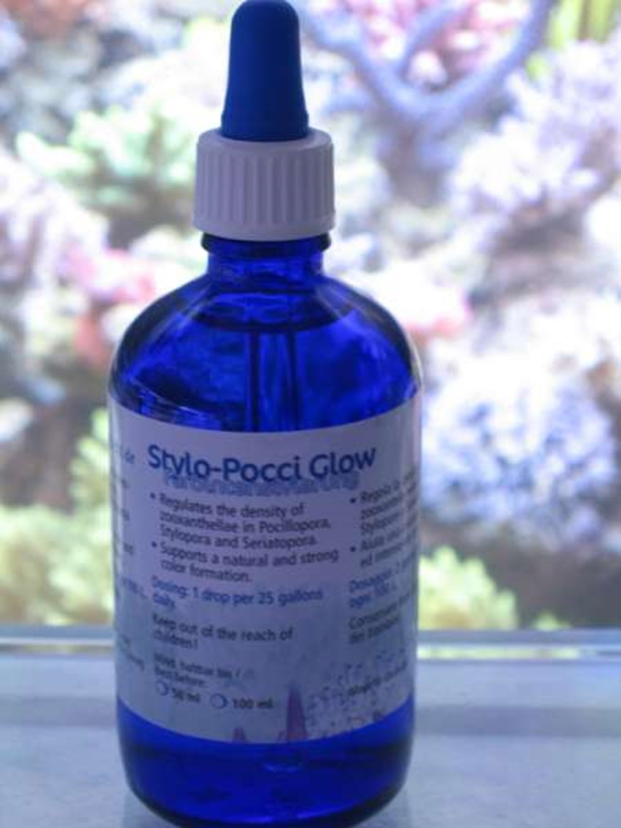 Stylo Pocci Glow - 100 ml